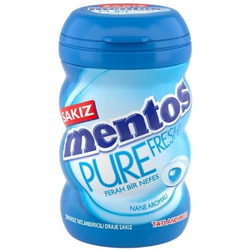 Mentos Pure Fresh Big Bottle Sakız Nane 90Gr nin resmi